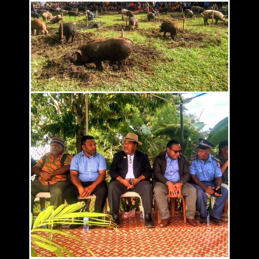 KOMBOLGA & MINIMBI TRIBES RECONCILE WITH PEACE CEREMONY