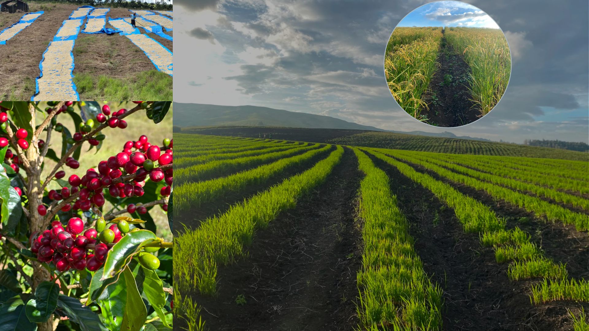 PNGFM & FSA PARTNER TO AMPLIFY 70TH AGRICULTURE & TRADE FESTIVAL NATIONWIDE