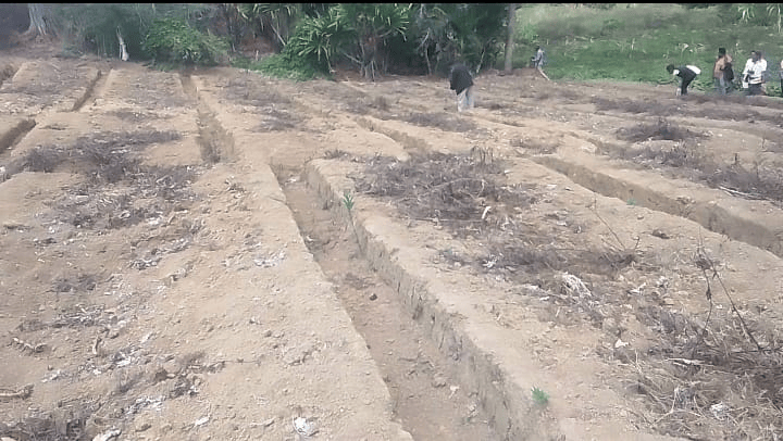 EL NIÑO DROUGHT HITS HIGHLANDS FOOD SUPPLY AND VILLAGE WATER SYSTEMS