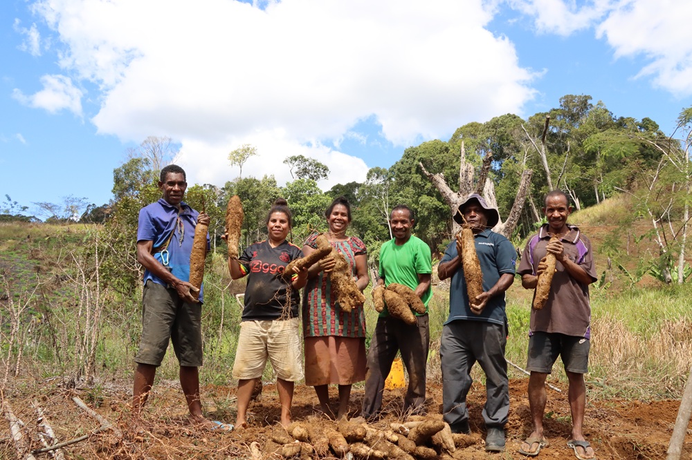 SOGERI FARMERS HARVEST NEW CLIMATE RESILIENT CROPS