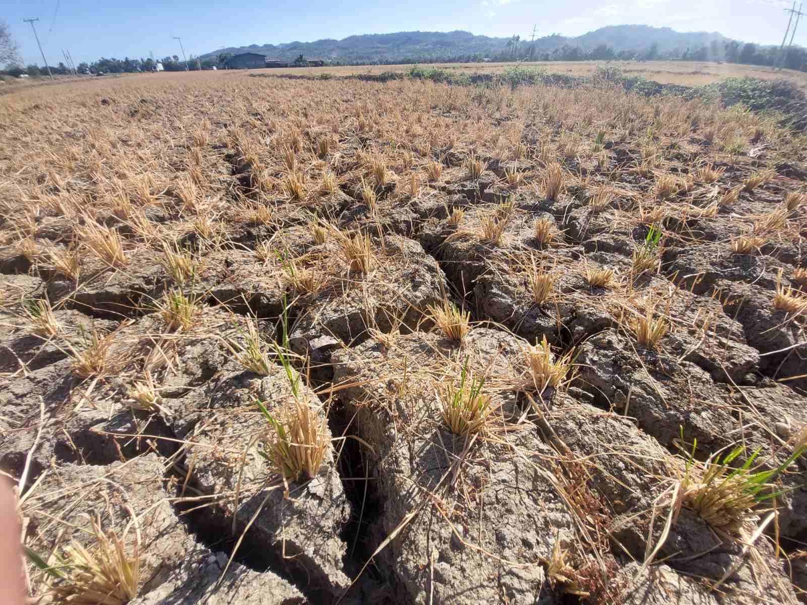 NORTH FLY FACES SERIOUS FOOD AND WATER SHORTAGES