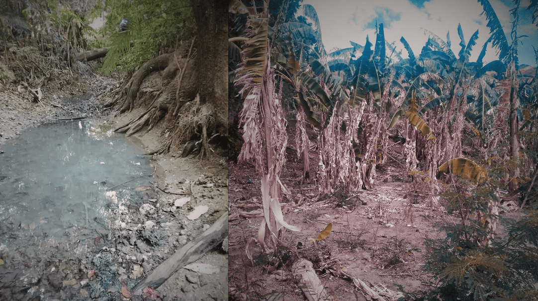 MILNE BAY EXPERIENCES WATER SHORTAGE AND BUSHFIRES AS EL NIÑO PERSISTS