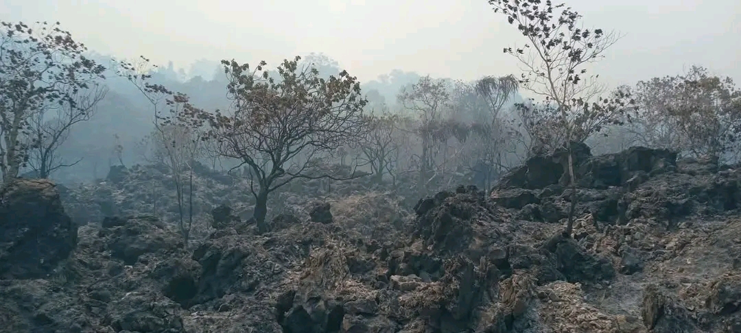 FIGHT TO CONTAIN DEVASTATING LOU ISLAND BUSHFIRES CONTINUES