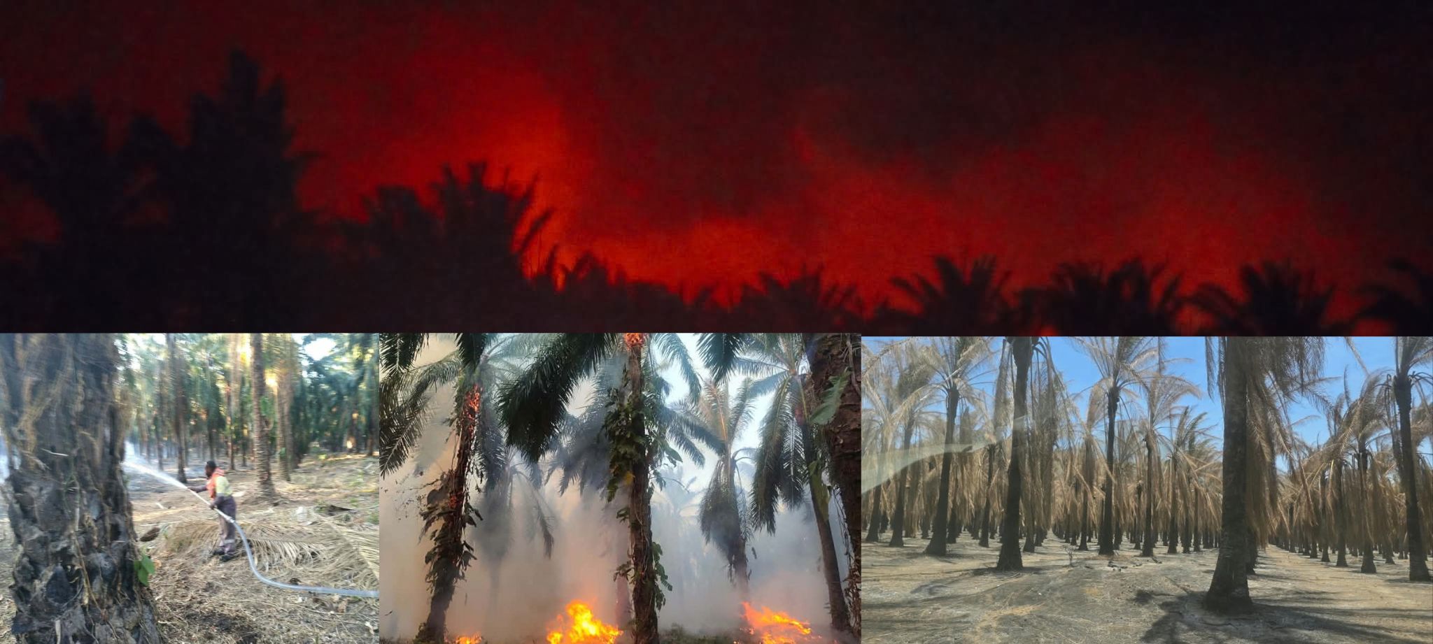 760 HECTARES LOST AS FIRE RIPS THROUGH LOLKORU ESTATE
